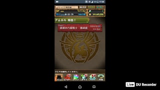 【パズドラ】アムネル降臨！配布会「第2章」