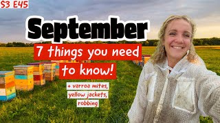 7 September Tips For Overwintering SUCCESS! Beekeeping 101 #beekeeping