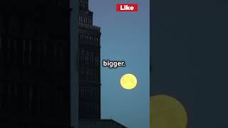 Why the Moon Looks Huge on the Horizon!