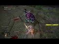 elden ring all bosses 29 207 no commentary