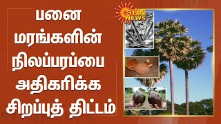 பனை மரங்களின் நிலப்பரப்பை அதிகரிக்க சிறப்புத் திட்டம் - 76 லட்சம் பனைமரங்களை வளர்க்க ஏற்பாடு