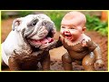 BEST Video Of Cute Baby And Dog || 5-Minute Fails