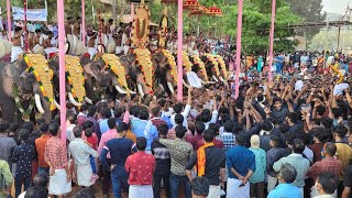 മേള പ്രമാണി ആരെന്നറിയാത്ത മനോഹരമായ വരവൂർ പാലക്കൽ പൂരം മേളം  🔥#chendamelam #krishnakdm