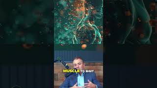 The Power of Nitric Oxide and Creatine