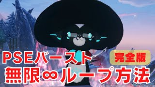 【PSO2NGS】PSEバースト徹底解説＆まるぐる方法紹介