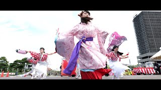 【４K】櫻”/ 第三章「驀地(まっしぐら) 」★よさこい道2023/ステージ演舞/2023.09.24/LumixS5Ⅱ