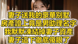 妻子送我的豪華別墅，房產證上竟是男助理名字，我默默凍結掉妻子資產，妻子這下徹底傻眼了