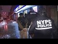 Gang Shootings Plague Some NYC Neighborhoods