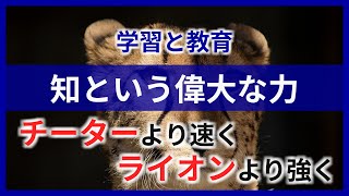 なぜ勉強するのか 〜実践的能力としての知〜