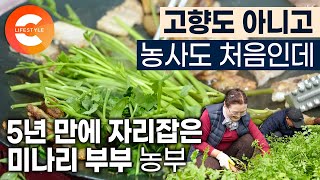 “5년 만에 자리잡기 쉽지 않거든요” 연고도 없는 동네에서 멋모르고 시작한 도시 부부의 미나리 농사 도전기 I #한국기행