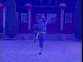 shaolin meihua quan part 1 少林梅花拳