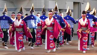 よんでん（2018スーパーよさこい・代々木公園ステージ）