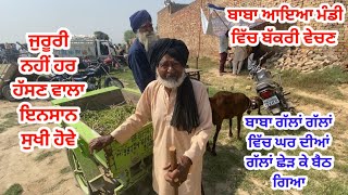 ਬੱਕਰੀਆਂ ਵਾਲਾ ਬਾਬਾ - goat farming - pandher Bakra Mandi @iltilanadhuri