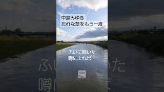 中島みゆき 忘れな草をもう一度(1982) 歌ってみた