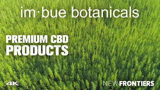 Imbue Botanicals in Leading Clinically Effective Premium CBD Products 1 Minute Version