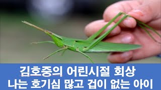 김호중의 어린시절 회상, 나는 호기심이 많고 겁이 없는 아이였다.