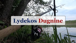 Lydekos Dugnine - Gabrielius Ser