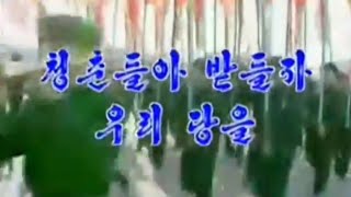 【北朝鮮音楽・DPRK Music】청춘들아 받들자 우리 당을（青年達よ、仰ごう我が党を / Young People, Uphold our Party）普天堡電子楽団