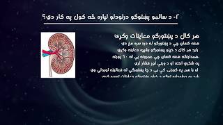 د روغو او سالمو پښتورګو لرلو لپاره دې لارښوونو ته پام وکړئ How to Take Care Your Kidney In Pashto