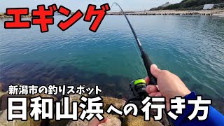 【エギング】人気釣りスポット日和山浜への行き方 今年最後のエギングに挑戦