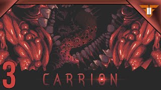 Time for more rektfast | Fury Plays: Carrion | Part 3
