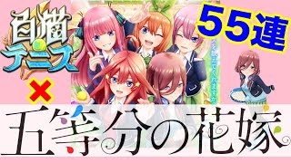 【ガチャ検証シリーズ】白猫テニス 五等分の花嫁コラボ！55連＋確定チケット回してみた！