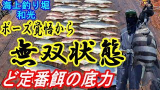 【海上釣堀】あの餌でシンプルに攻めて無双状態～ど定番餌の底力で爆釣⁉～海上釣り堀和光