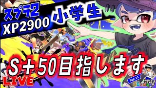 【XP2900小学生】【S＋39～】S＋50カンスト目指してバンカラマッチ　ライブ配信　【スプラトゥーン3】