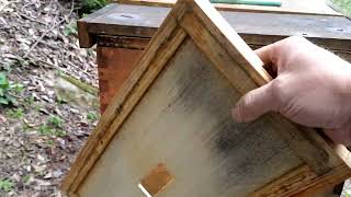 How To Divert Moisture From The Cluster. Best Beekeeping Tip In A Long Time. And It's So Simple.