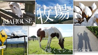 【マザー牧場】動物たちが可愛くてシュールで癒された♡/千葉/牧場/グランピング/大自然