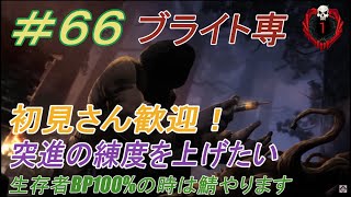 【ブライト】初見さん大歓迎DBD配信　世界ランクの順位を上げたい！　第66回【DeadbyDaylight】