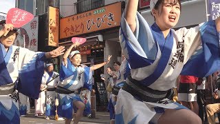 夕陽に向かって踊る「北浦和阿呆連」オープニング - 第41回北浦和阿波おどり大会（2019.9.7）