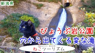 【猫と旅行】びょうぶ岩公園には変な滝がある【新潟県】