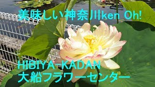 美味しい神奈川ken Oh!-KADAN 大船フラワーセンターHIBIYA-KADAN Ofuna Flower Center