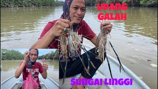 #vlog 28 #fishing Memancing Udang Galah Di Sungai Linggi #prawns