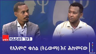 የአእምሮ ቁስል (ትራውማ) እና ሕክምናው