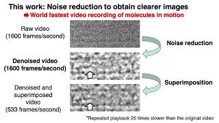 High-speed Atomic Video (Press Release from The University of Tokyo: June 4, 2020)