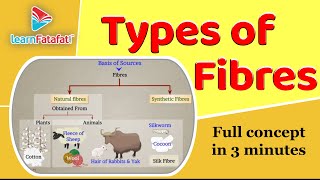 Class 6 Science Chapter 3 Fibre to Fabrics | Types of Fibres - LearnFatafat