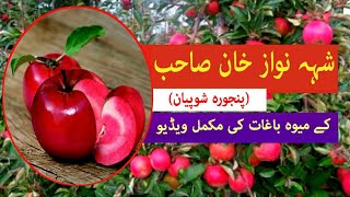 Visit to Mr. Shahnawaz Khans orchard on 17 August 2020  (full video)