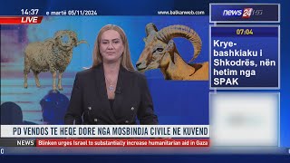 Monitorime/ Moderatorja në studio mes Dy Dash-ve dhe një Shpend - Fiks Fare