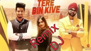 Tere Bin Kive Romantic song ||Mr Faisu and Jannat Zubair|| DJ Remix song||