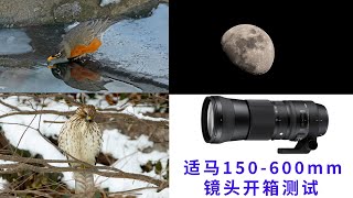 适马150-600mm镜头开箱测试