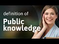 Public knowledge | definition of PUBLIC KNOWLEDGE