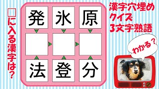 【穴埋め漢字クイズ】＃6  □に入る漢字を埋めて3文字熟語を完成させよう!