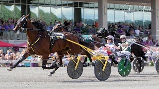 Dorsoduro Hanover - 2018 Delvin Miller Adios