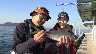 おとな釣り倶楽部 TV【和歌山県和歌山市 前編】