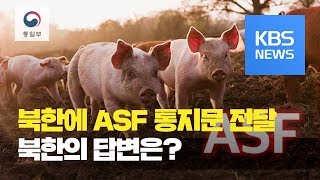 통일부, 북한에 ‘아프리카돼지열병’ 통지문 전달 / KBS뉴스(News)