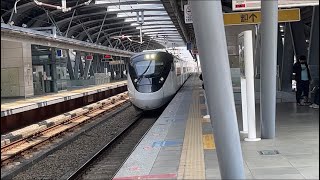 5119次新自強號EMU3000特仕車通過大慶車站