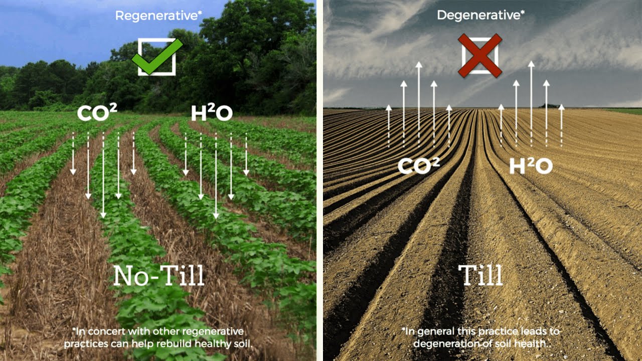 Regenerative Agriculture / Regenerative Farming - Go IT