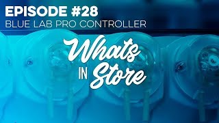 Bluelab Pro Controller Demo - WIS 28